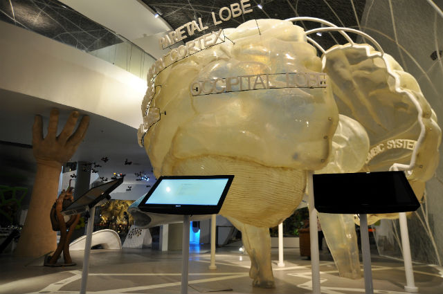 Mind museum