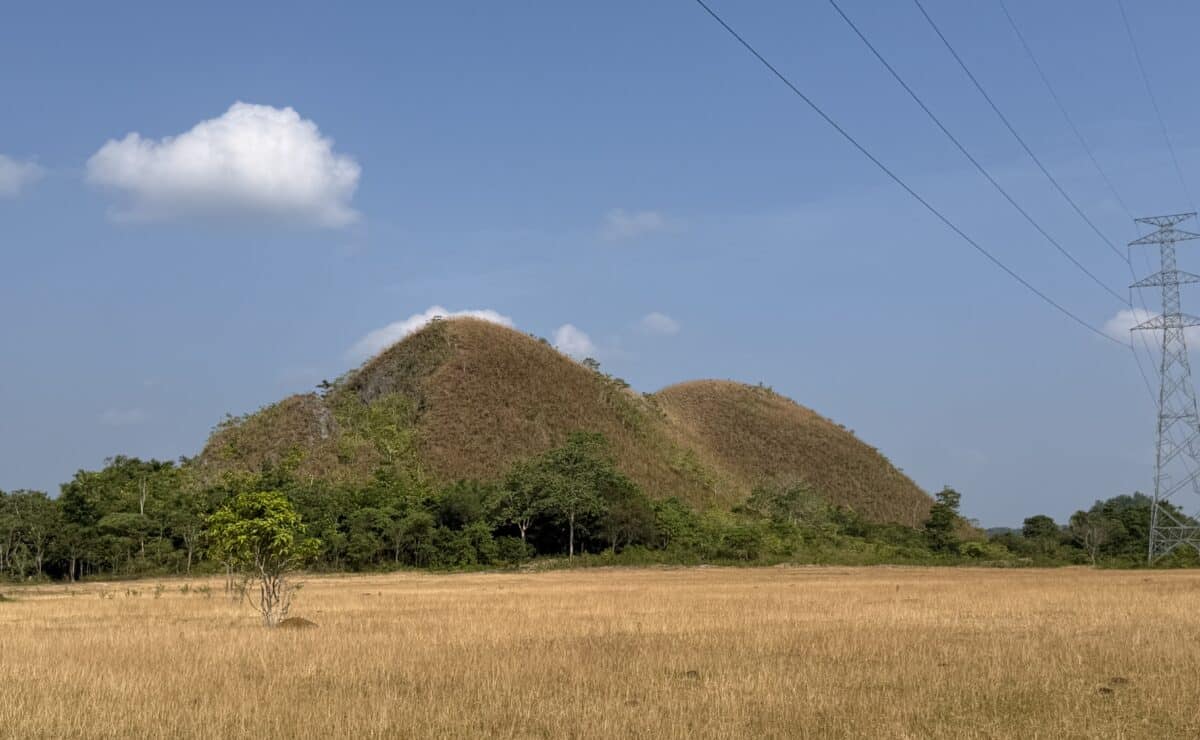 Bohol crop losses climb to P173-M as drought worsen